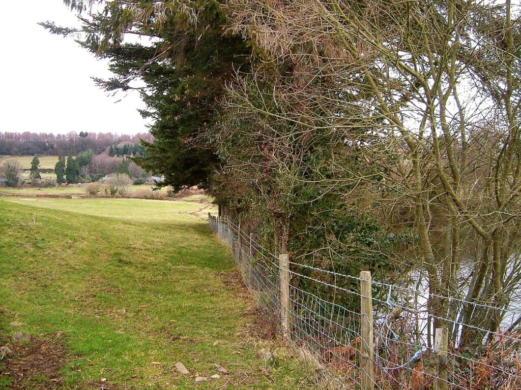 File:Fence and trees around pond - geograph.org.uk - 3729649.jpg — illustrative image