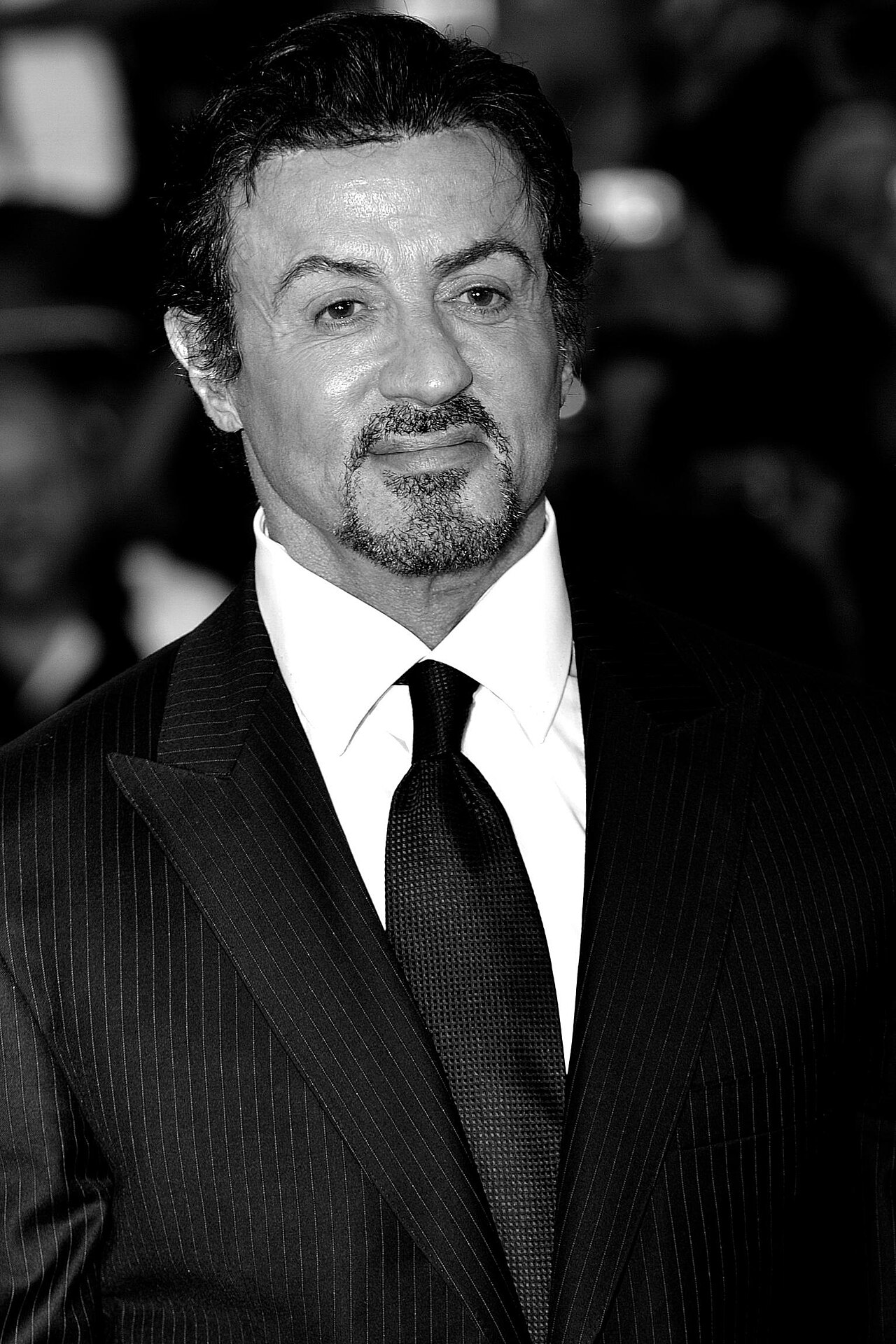 File:Stallone 66ème Festival de Venise 2.jpg — illustrative image