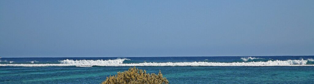 File:.00 0975 Ningaloo Reef (Australia) - Surf on the coral reef.jpg — illustrative image