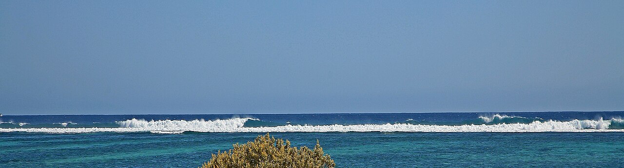 File:.00 0975 Ningaloo Reef (Australia) - Surf on the coral reef.jpg — illustrative image